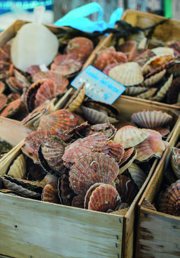 FOIRE AUX HARENGS ET À LA COQUILLE ST-JACQUES À DIEPPE