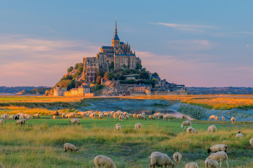 SÉJOUR EN TERRE DE BREIZH – Du Samedi 05 au Jeudi 10 Juillet 2025 (6 jours)