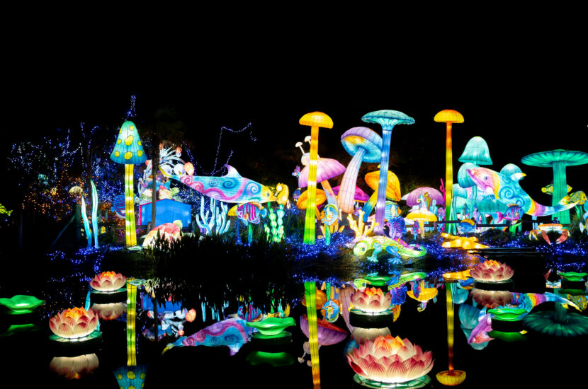 AMNÉVILLE Zoo & Luminescences – Samedi 22 Mars 2025