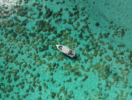 Séjour à l’ile Maurice hôtel riu turquoise 4* – Du Mardi 13 au Mercredi 21 Janvier 2026