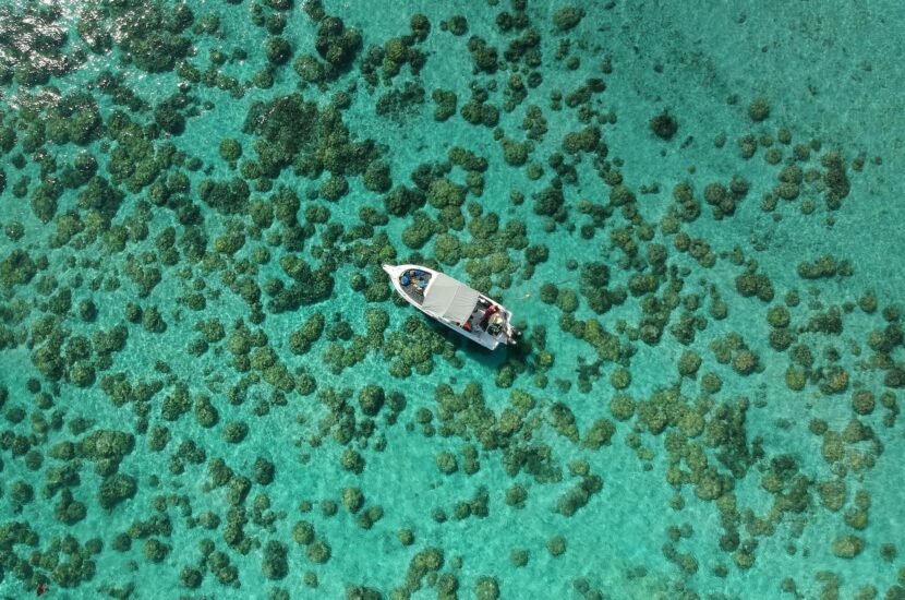 Séjour à l’ile Maurice hôtel riu turquoise 4* – Du Mardi 13 au Mercredi 21 Janvier 2026