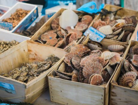 Foire aux harengs et à la coquille St-Jacques de Dieppe – Samedi 15 novembre 2025