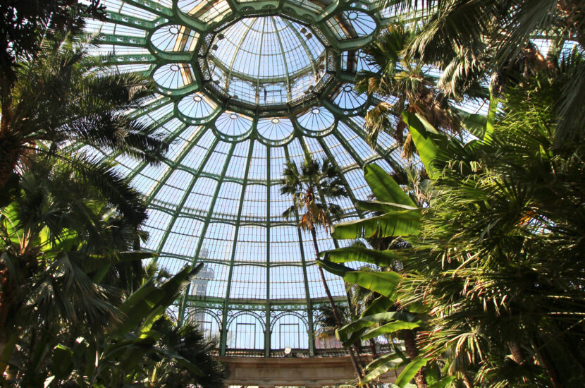 Les serres royales à Bruxelles Jeudi 23 Avril 2026