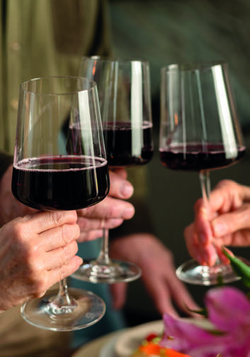 CROISIÈRE BEAUJOLAIS NOUVEAU