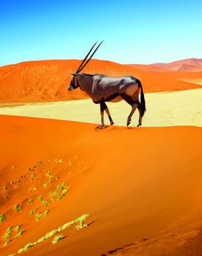 LA NAMIBIE, JOYAU DE L’AFRIQUE AUSTRALE