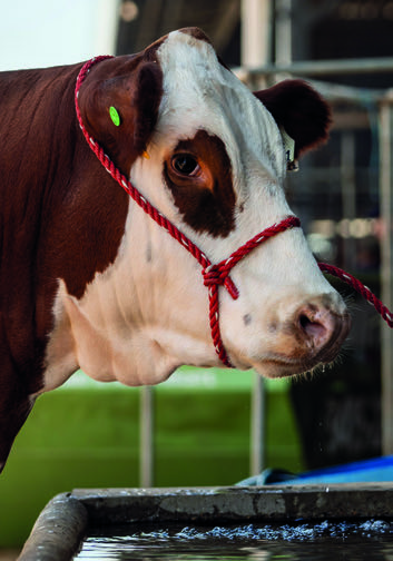 SALON INTERNATIONAL DE L’AGRICULTURE À PARIS